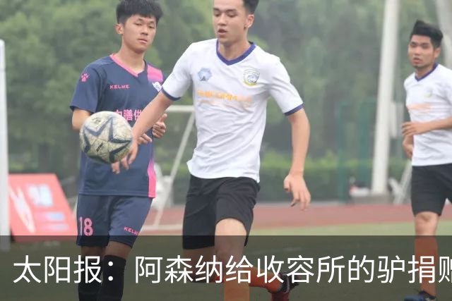 太阳报：阿森纳给收容所的驴捐赠40双球袜，保护它们腿部免受感染