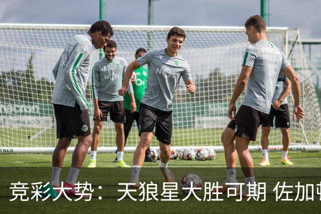竞彩大势：天狼星大胜可期 佐加顿斯客场凯旋