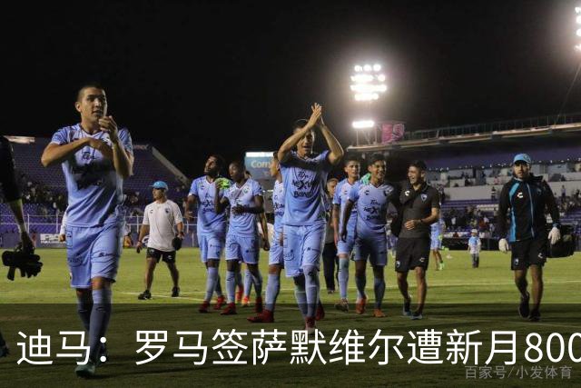 迪马：罗马签萨默维尔遭新月8000万欧截胡 目标转向努萨等人